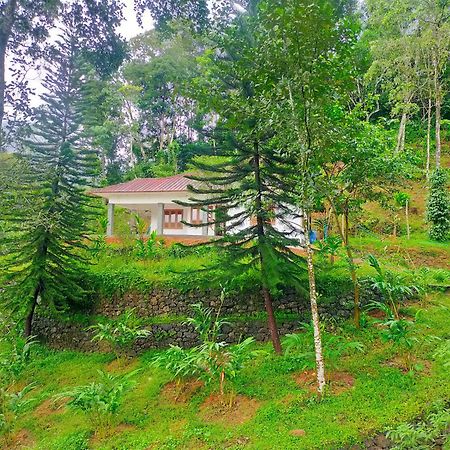 Anivilla Holiday Home Kunjithanny Anachal Exteriér fotografie