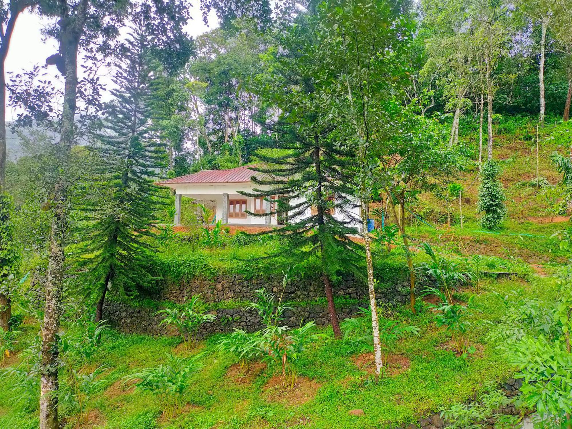 Anivilla Holiday Home Kunjithanny Anachal Exteriér fotografie